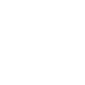 access-data-ginstr-white