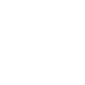 reports2-ginstr-white